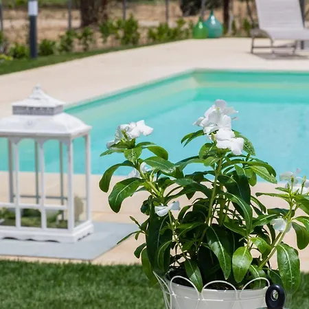 Puntuso Casa Vacanze * Матино